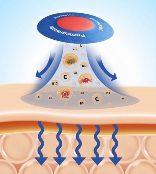 How Purisaki Berberine Patches works